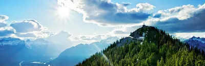 Psychoterapia Katarzyna Dziuba-Owsianka